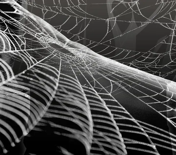 15403166 720 634 90346